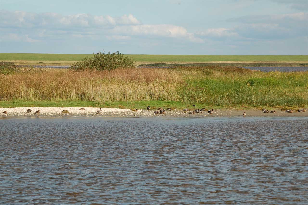 Fahrt zur Schleuse Leyhörn