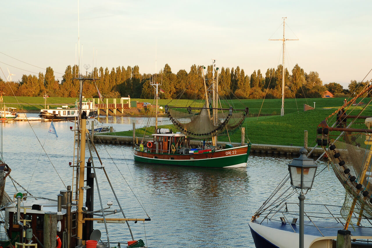 Zurück in den Hafen...